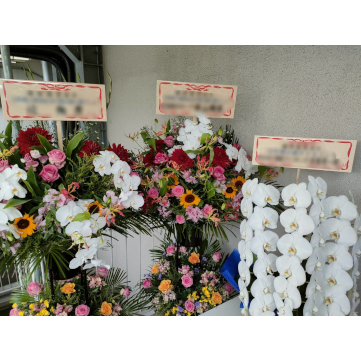 法人様よりご依頼の生花スタンド、胡蝶蘭