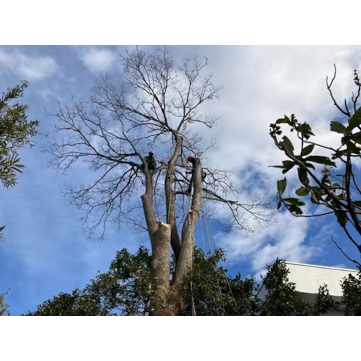 企業イメージ写真