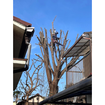 企業イメージ写真