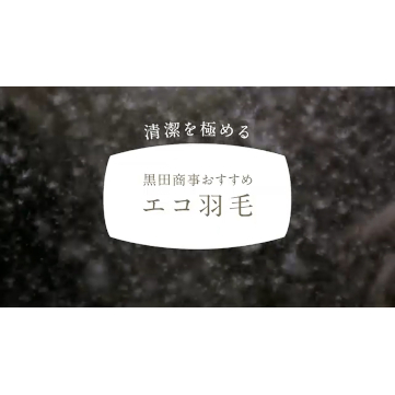 企業イメージ写真